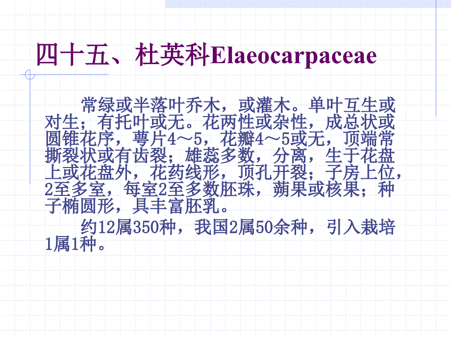 杜英科Elaeocarpaceae_第1页