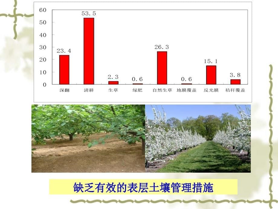 果蔬施肥技术081121_第5页