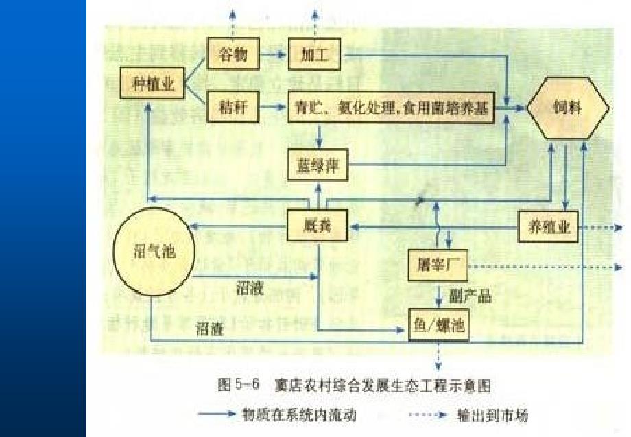 生态工程的实例和应用_第3页