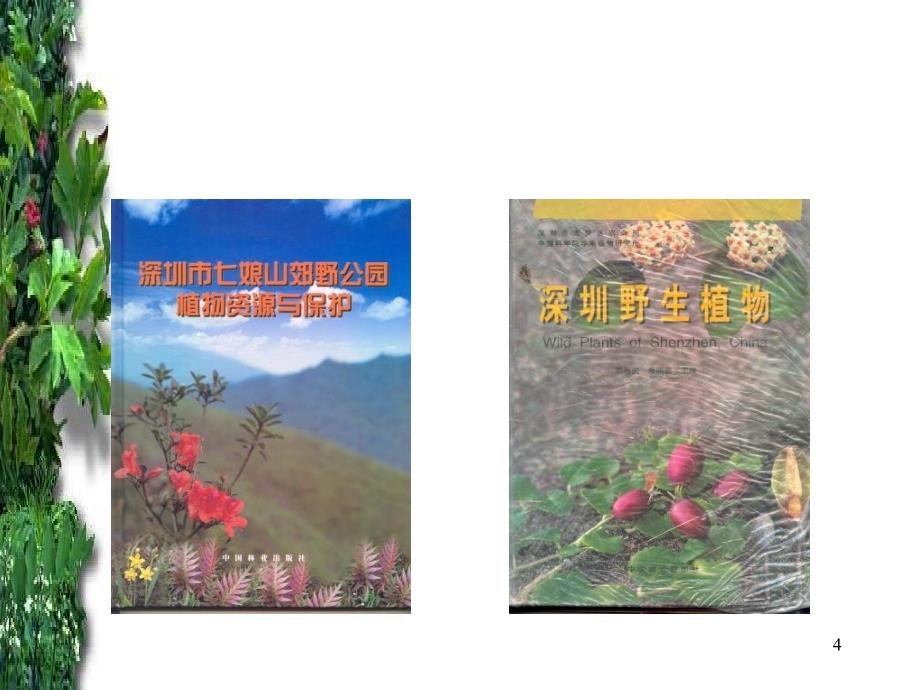 张永夏：植物与低碳经济_第4页