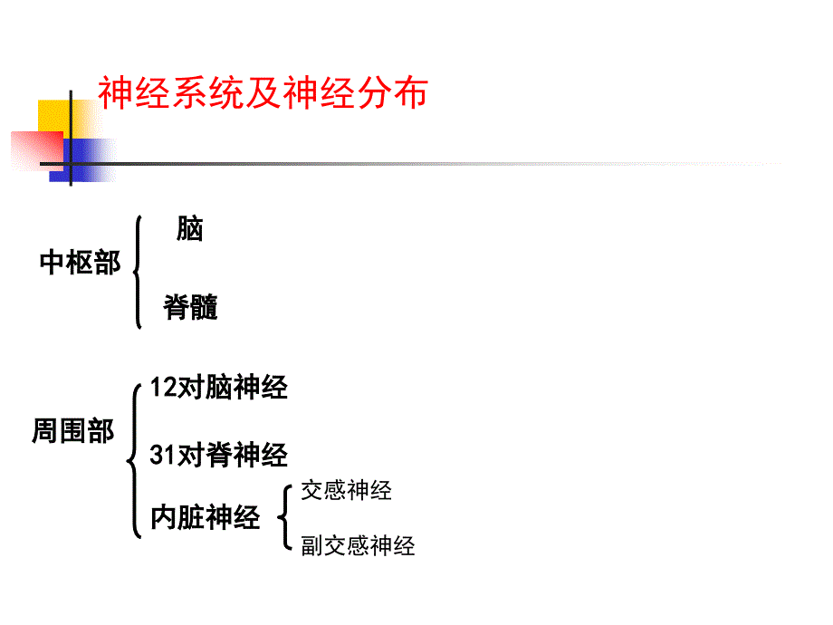 脑认知与人工神经网络_第4页