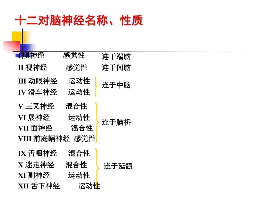 脑认知与人工神经网络_第5页