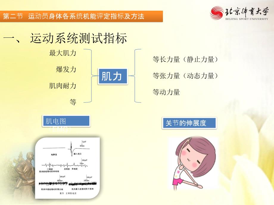 17运动机能的生理学评定_第3页