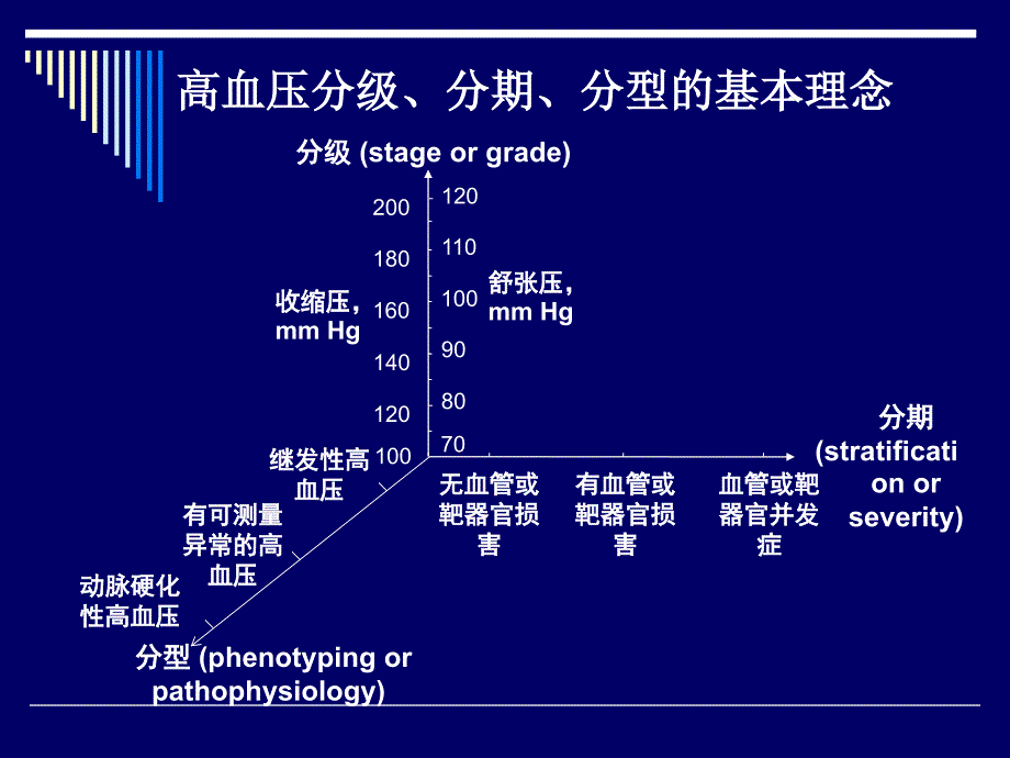 (ppt)高血压的分级、分期、分型管理-血管与心、脑、肾等器官结_第3页