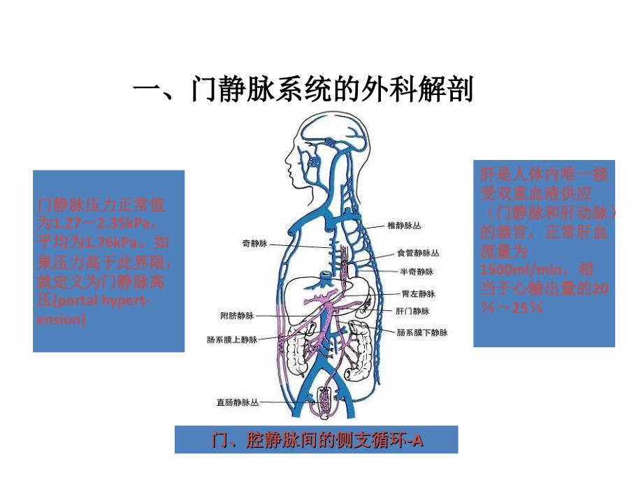 010-课件-第四十二章门静脉高压症_第4页