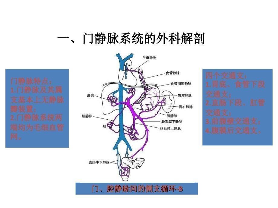 010-课件-第四十二章门静脉高压症_第5页