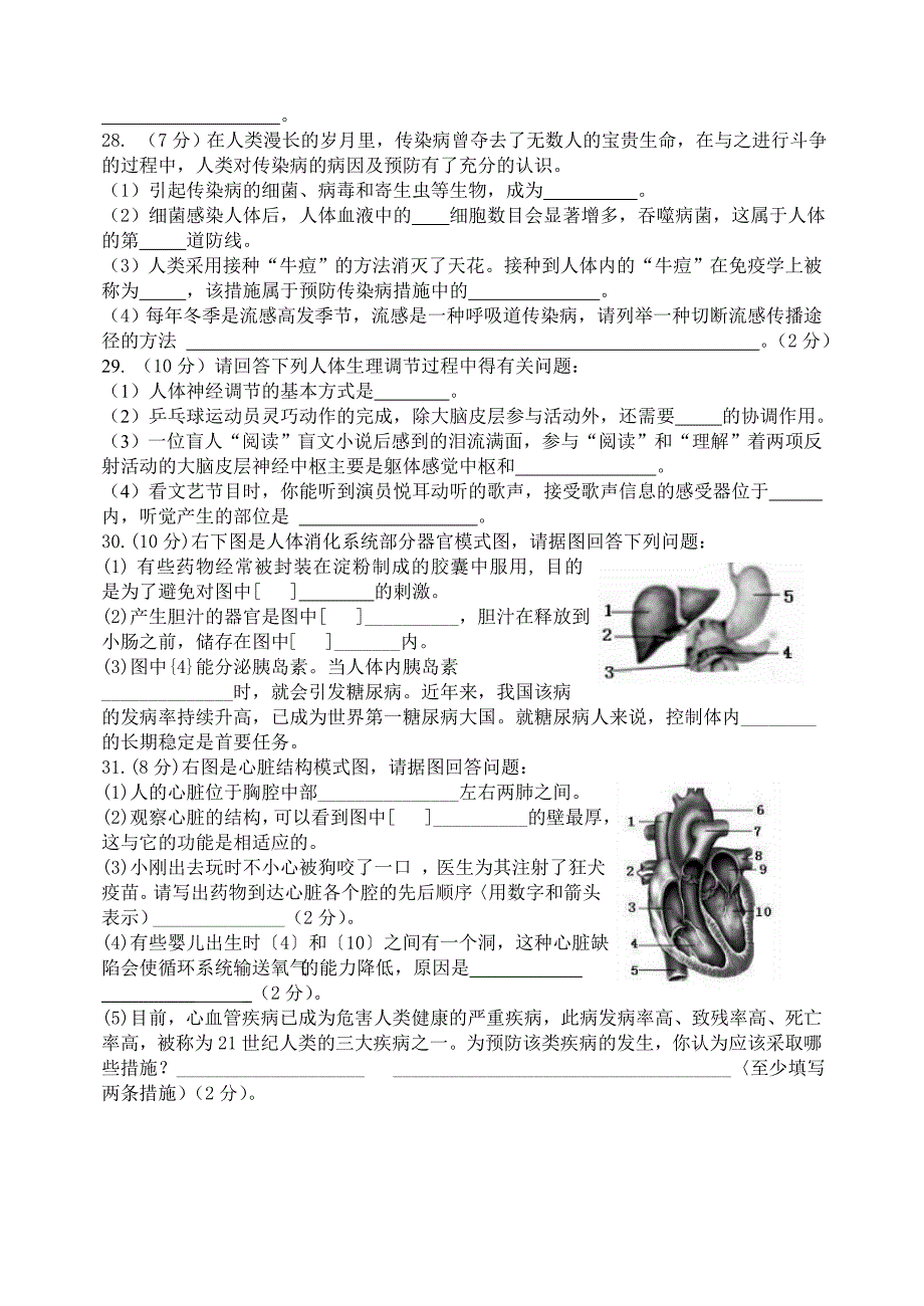 七年级下册生物期末考试模拟试卷3【精选】_第4页