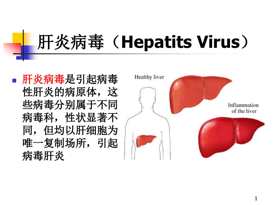 7肝炎病毒_第1页