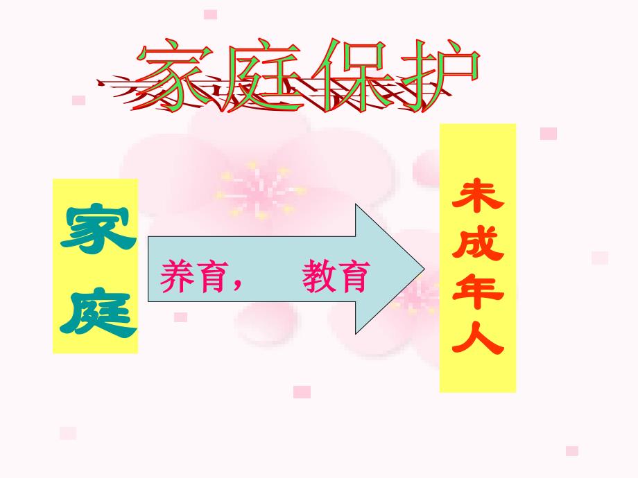 《活动二　宣传《中华人民共和国未成年人保护法》　课件》小学综合实践沪科教课标版5年级下册课件58500_第4页