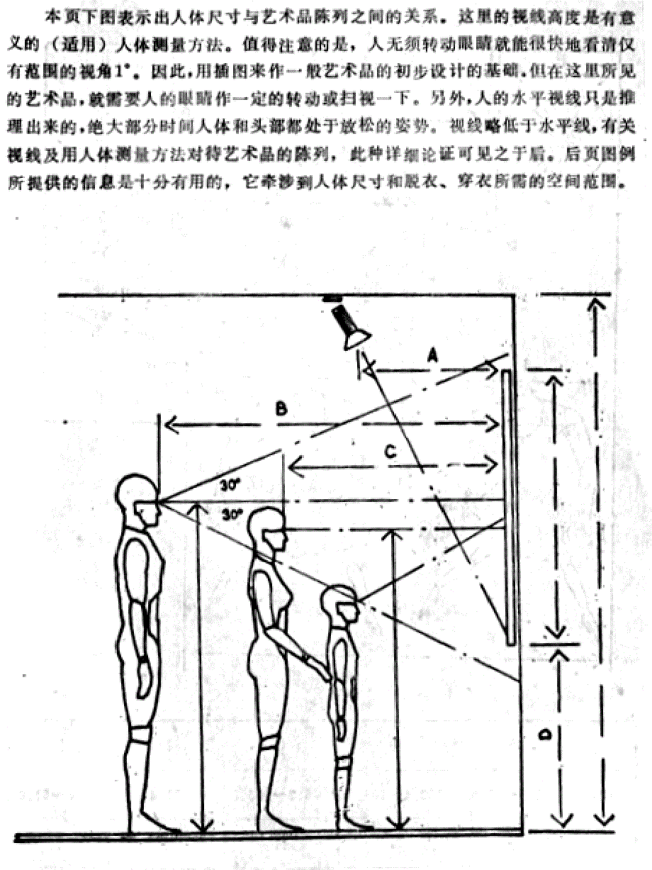 《艺用解剖学》课件ppt-2_第4页