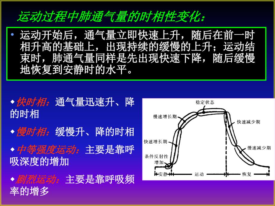 【体育课件】第四节 运动对呼吸机能的影响1_第3页