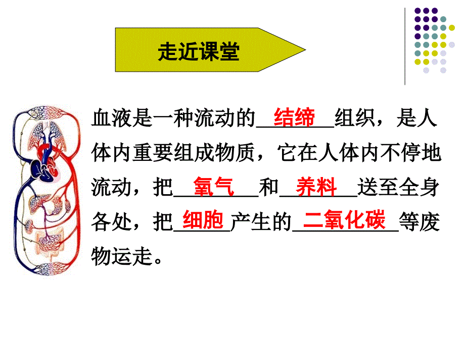 《第二节 人体的血液循环课件》初中生物苏教版七年级下册26769_第2页