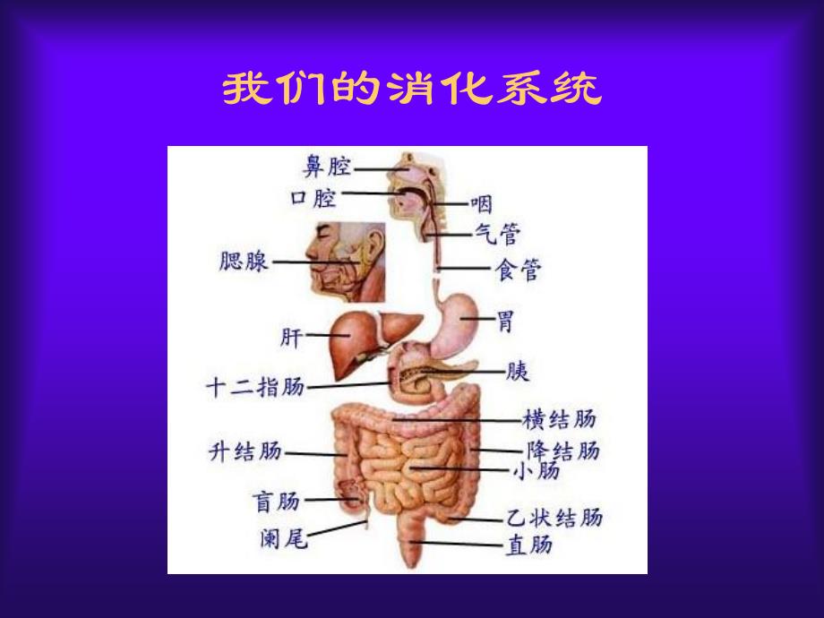 消化系统疾病-临床药物治疗学_第3页