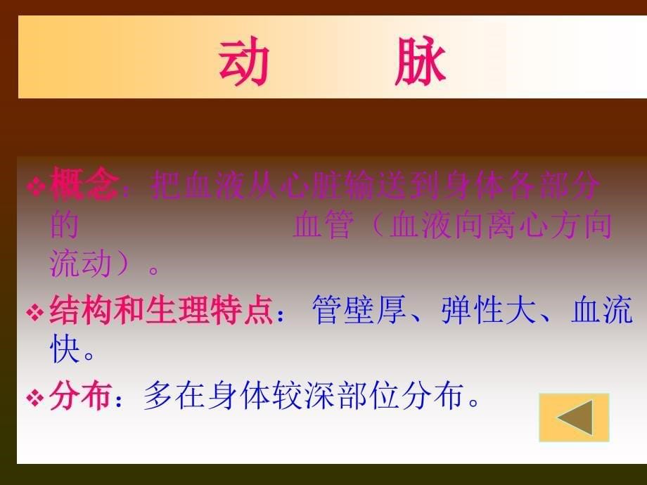 《第二节　人体的血液循环课件》初中生物苏教2011课标版七年级下册课件9886_第5页