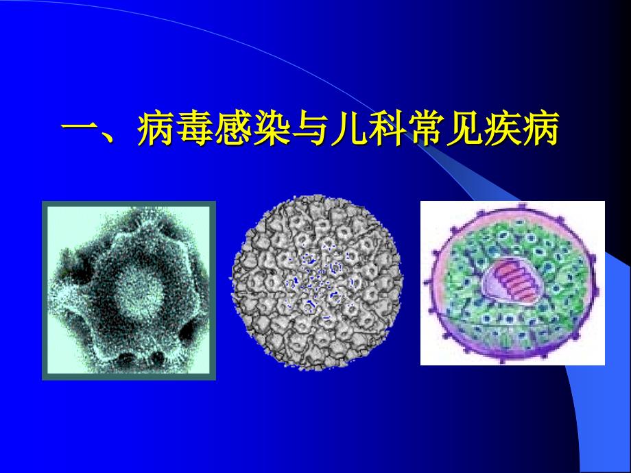 医学资料-儿科常见病毒感染及治疗王纪文_第3页