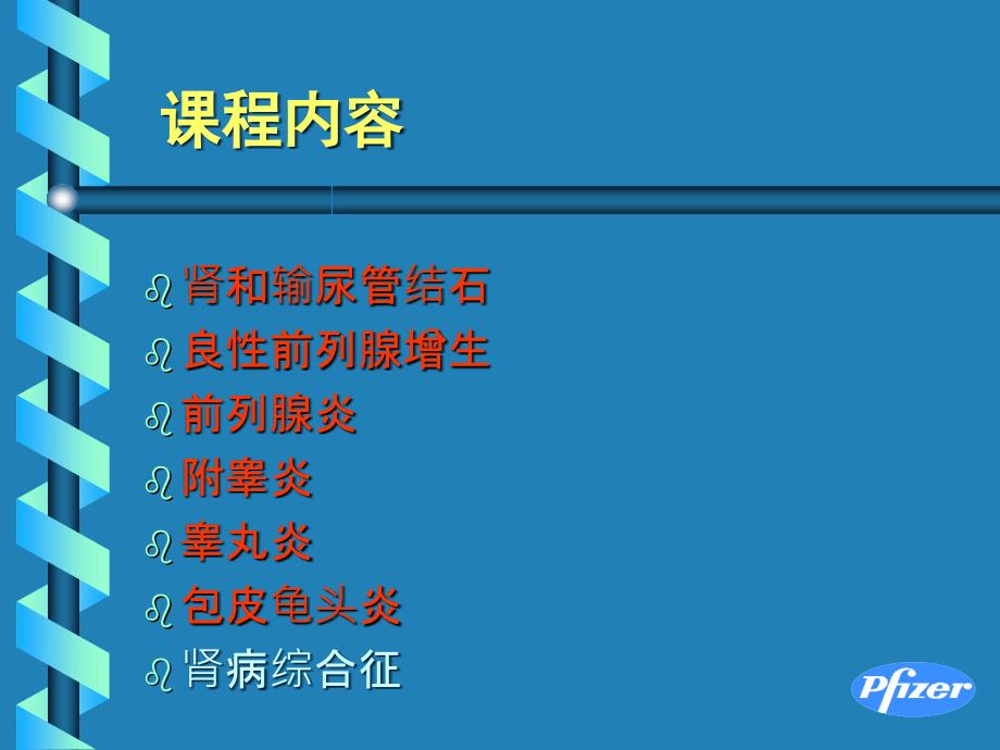 泌尿系统与肾脏疾病基本药物临床应用_第2页