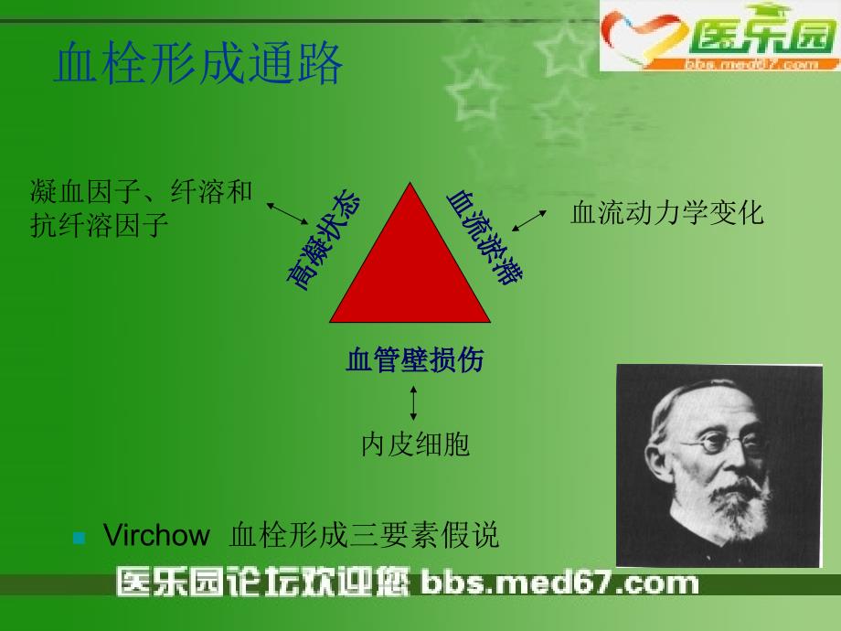 凝血与耐药相关基因多态性与非创伤性股骨头坏死的关联研究_第4页