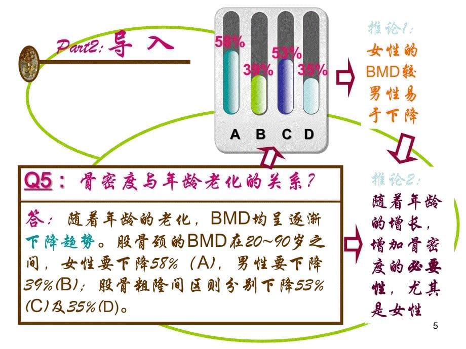 增加骨密度的机理和产品_第5页