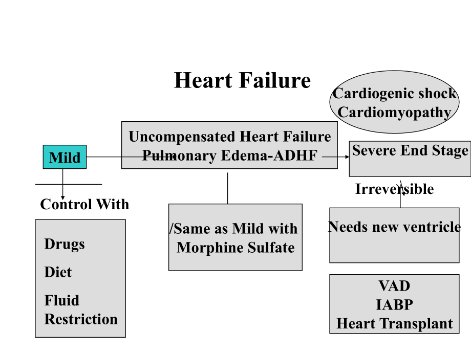 congestive heart failure - austin community college district：充血性心力衰竭-奥斯汀社区学院区_第3页