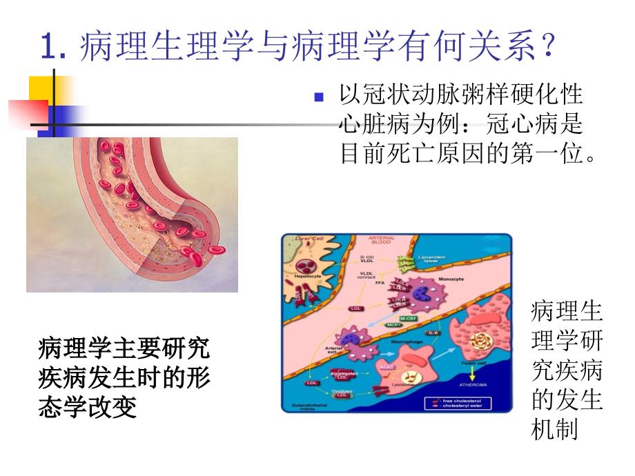 病理生理学   绪论（精品ppt）_第4页