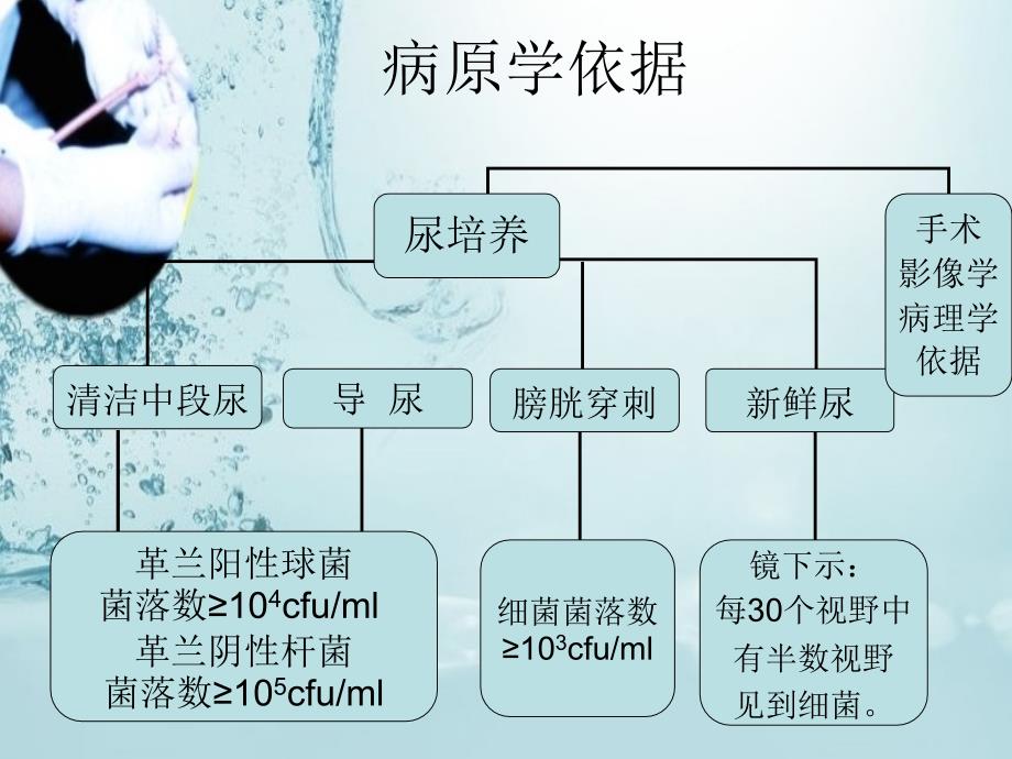 插管相关性尿路感染的防控措施_第4页