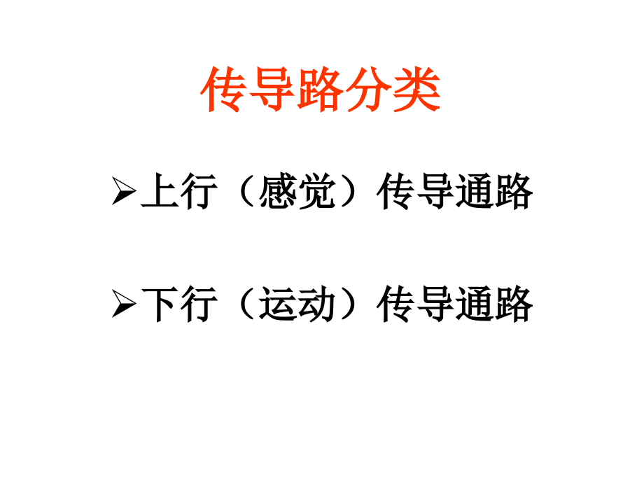 传导路、脑脊髓的被膜、血管及脑脊液循环-小专业_图文_第2页