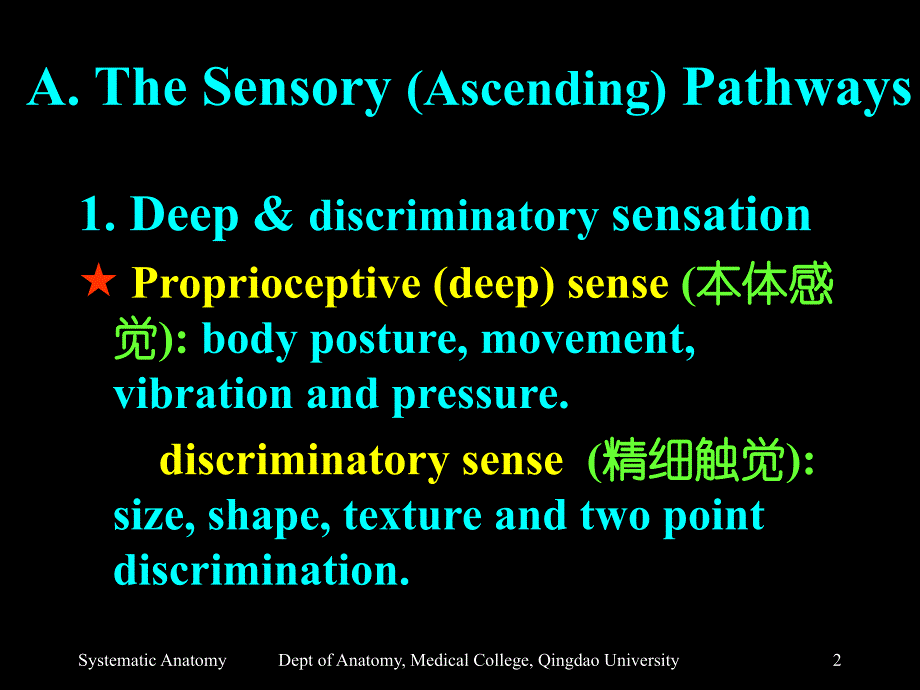 section 3 the nervous pathways (神经传导路)[宝典]_第2页