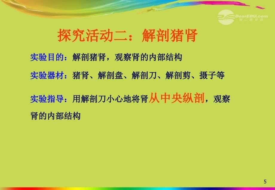 甘肃省会宁县八年级生物《人体泌尿系统的组成》课件  新人教版_第5页