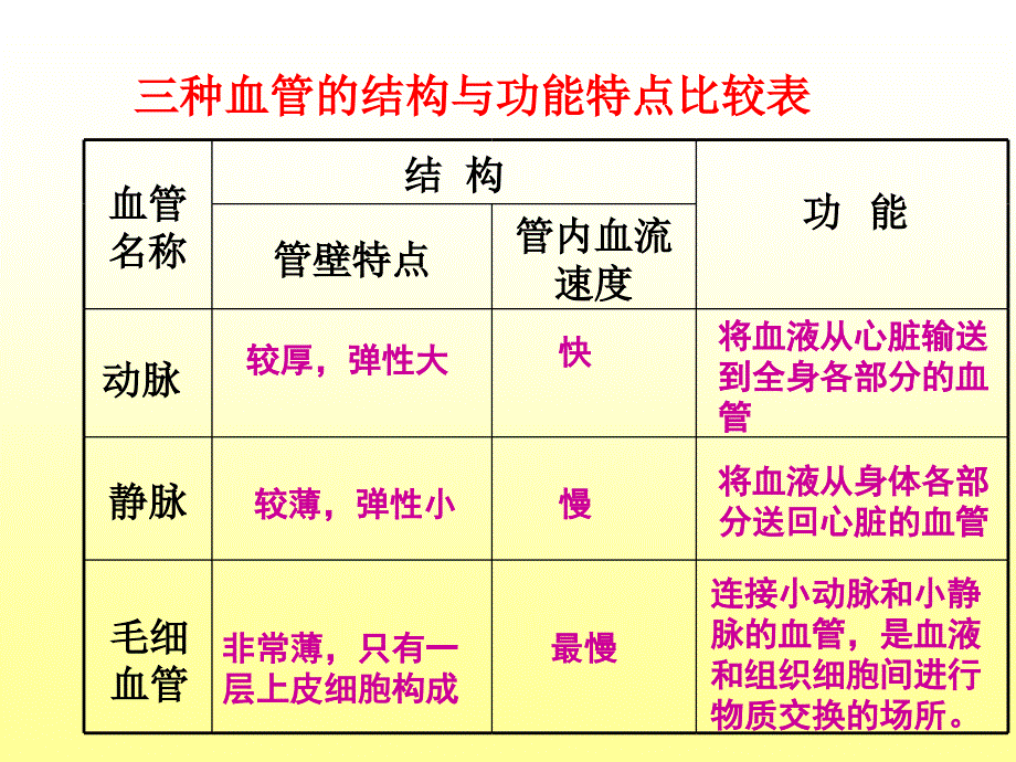 《第二节　人体的血液循环课件》初中生物苏教版七年级下册26742_第4页