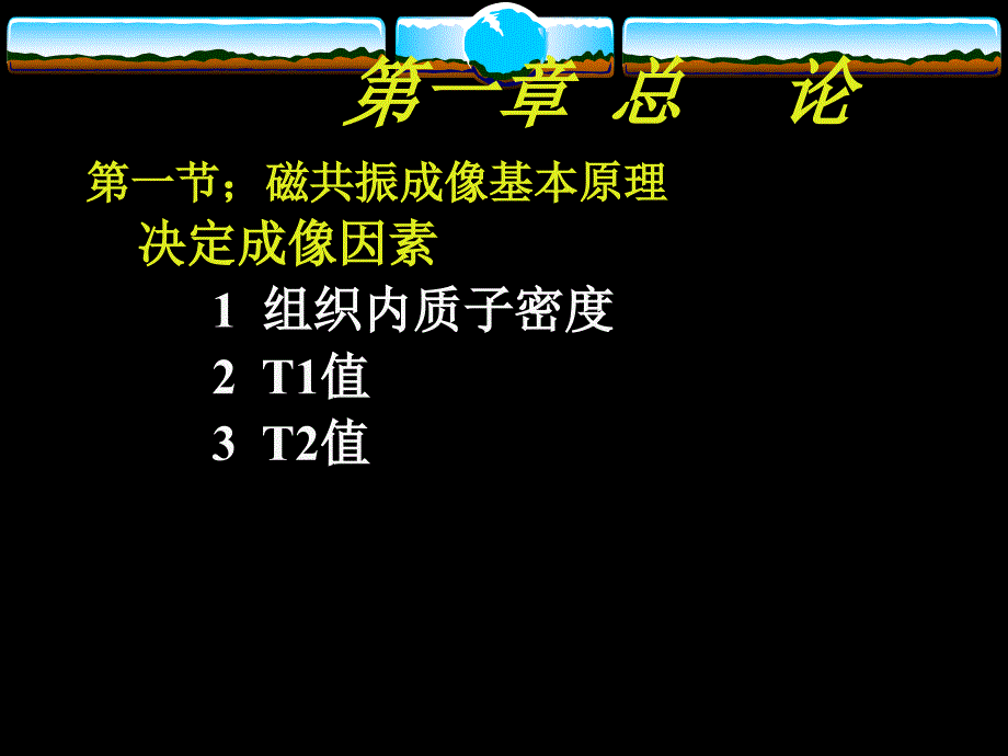 磁共振成像(mri)诊断学1_第4页