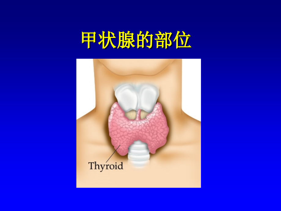 [ppt]甲状腺机能亢进症（hyperthyroidism）上海交通大学医学院_第2页