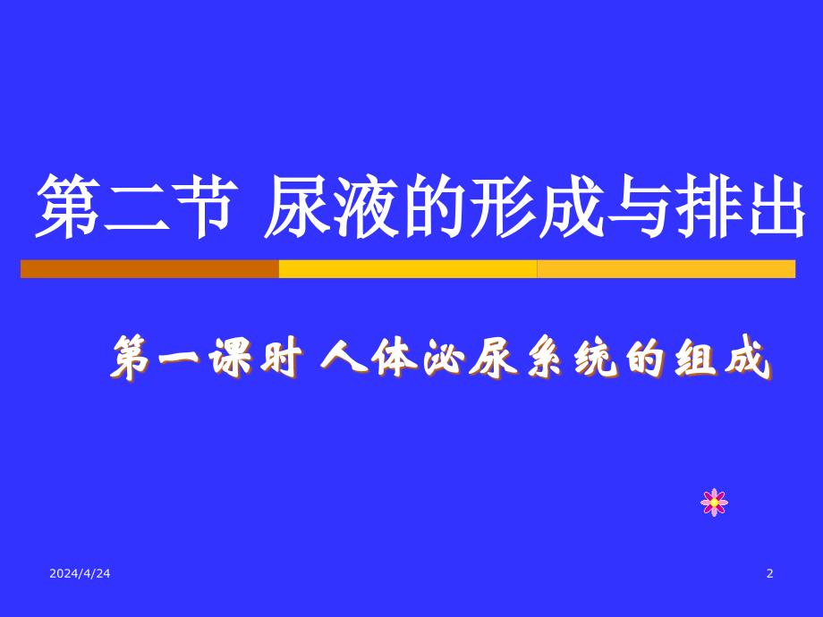 课件人体泌尿系统的组成__肾1_第2页