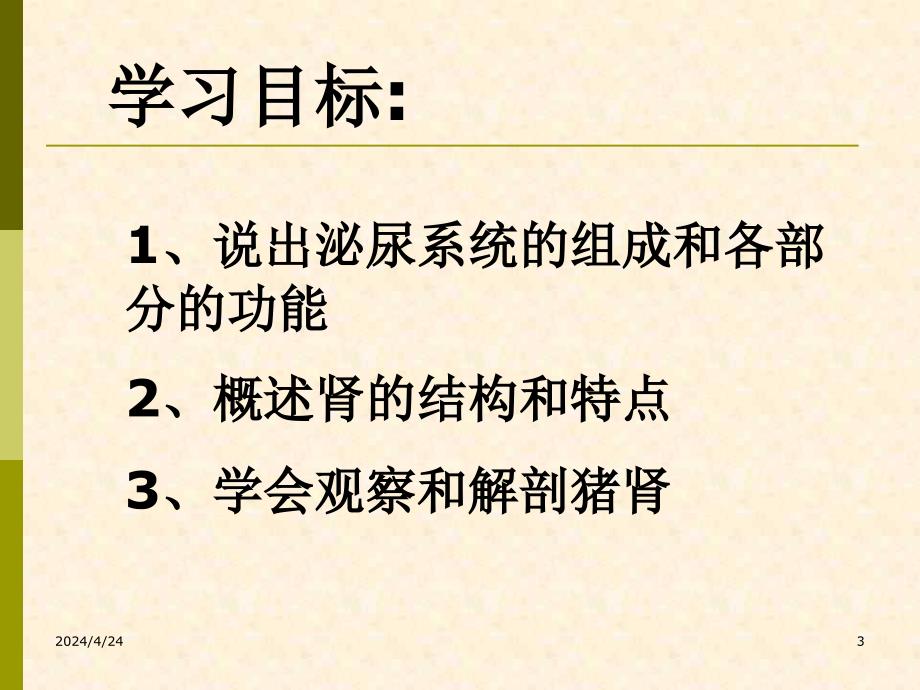 课件人体泌尿系统的组成__肾1_第3页