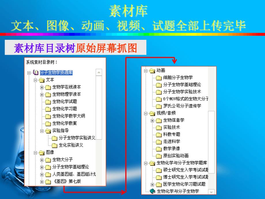 [精品]生物化学与分子生物学资源库_第4页