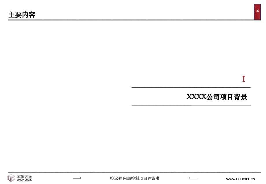 xx公司内部控制项目建议书_第5页