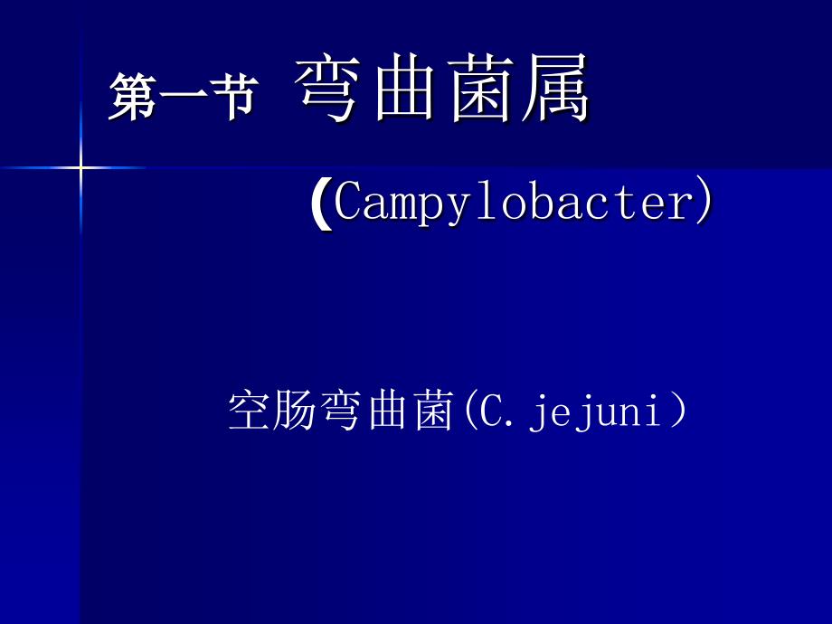 医学微生物学课程教学课件——第16章其他细菌_第2页