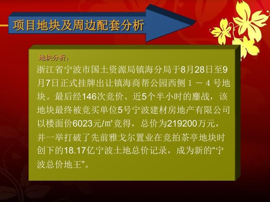 宁波镇海商帮公园西侧房地产项目定位可行性研究报告_第5页