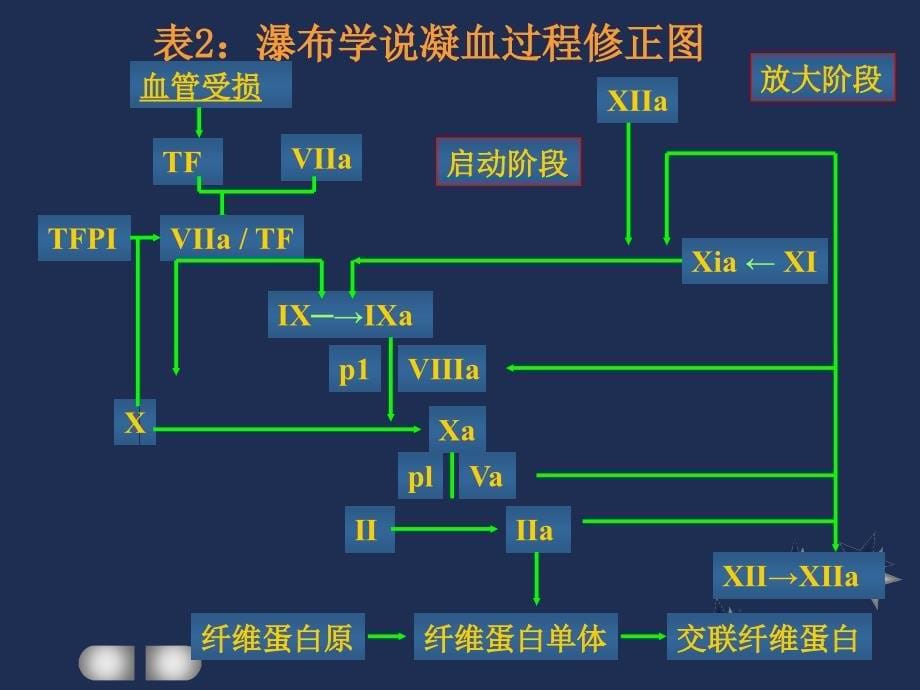 危重病dic的诊治进展（学术论文）_第5页