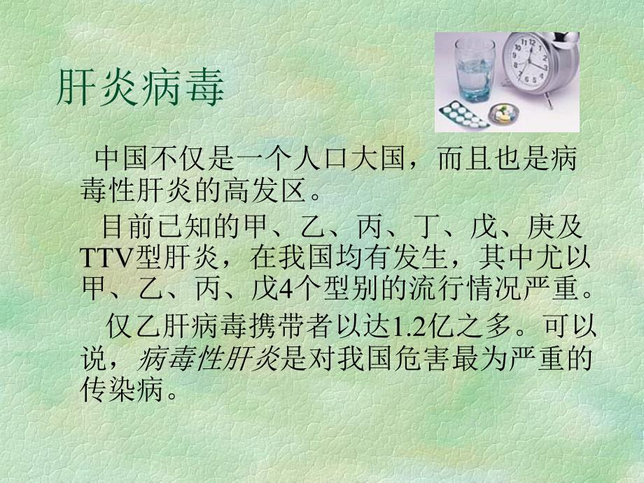 第26章 肝炎病毒【推荐-ppt】_第2页