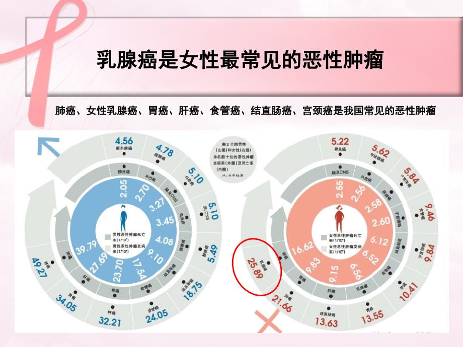 乳腺癌筛查早诊与治疗相关不良反应的处理_第3页