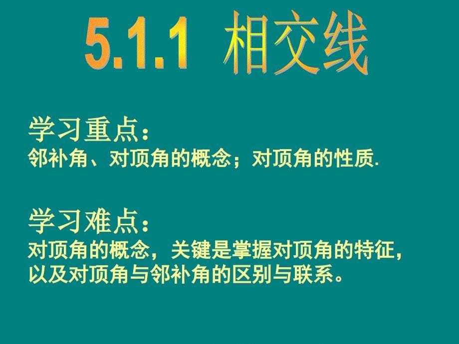 《第五章　相交线与平行线5.1　相交线　5.1...课件》初中数学人教版七年级下册4424_第5页