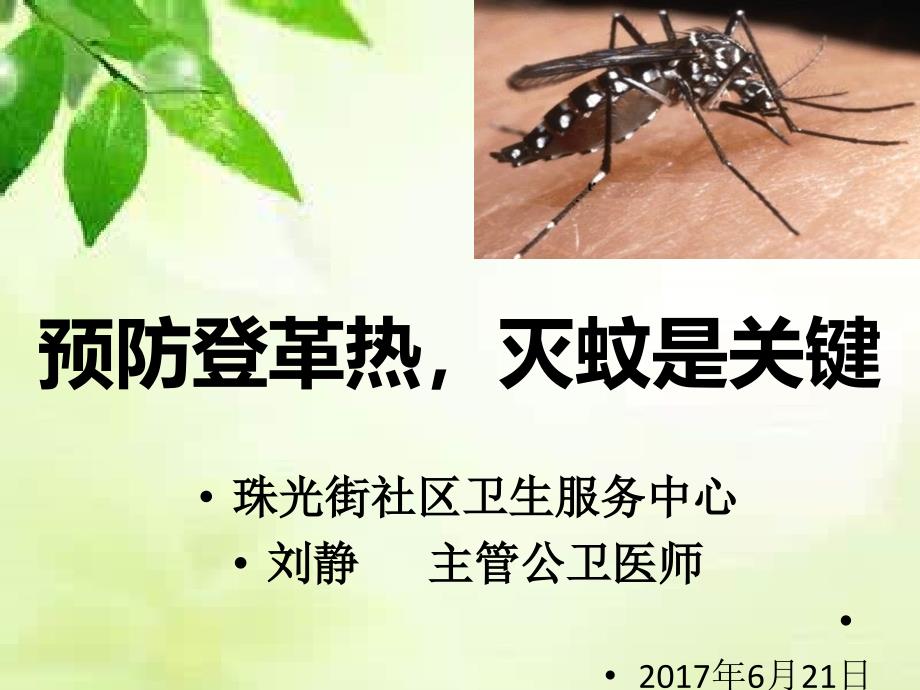 预防登革热,灭蚊是关键2017年_第1页