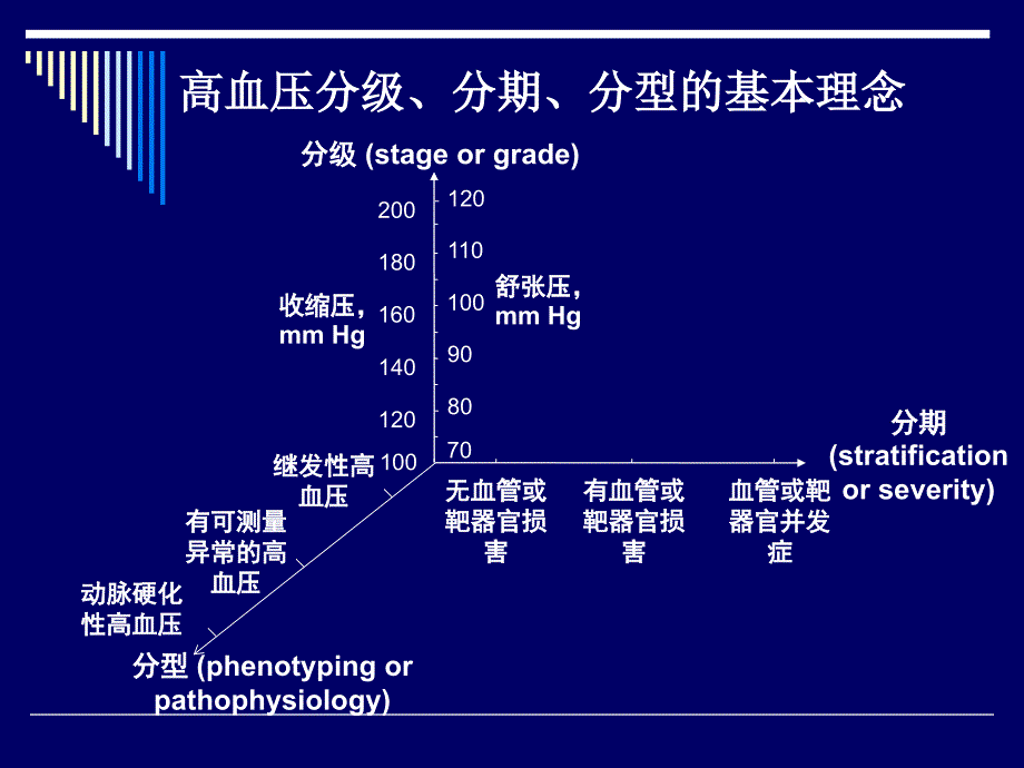 高血压的分级、分期、分型管理-血管与心、脑、肾等器官结_第3页