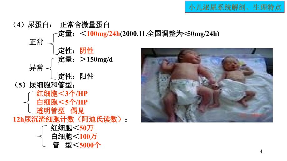 小儿泌尿系统解剖生理特点 ppt课件_第4页