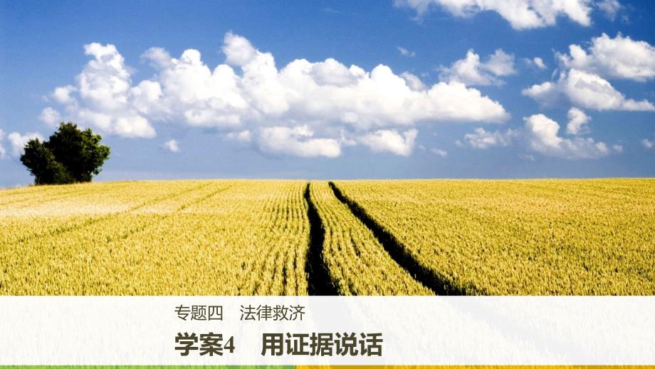 2017-2018学年高中政治 专题四 法律救济 4 用证据说话课件 新人教版选修5_第1页