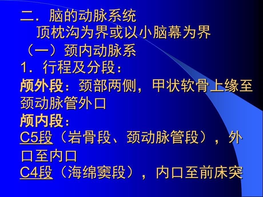 脑血管的断层解剖学ppt_第5页