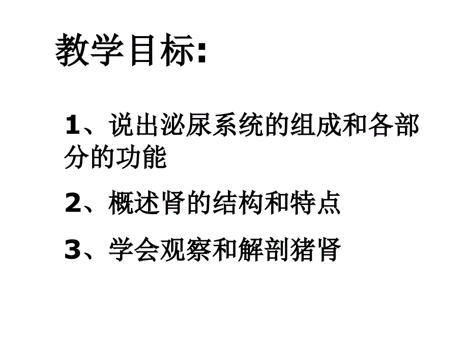 苏教版生物七下《人体泌尿系统的组成》ppt课件[www.edudown.net]_第2页