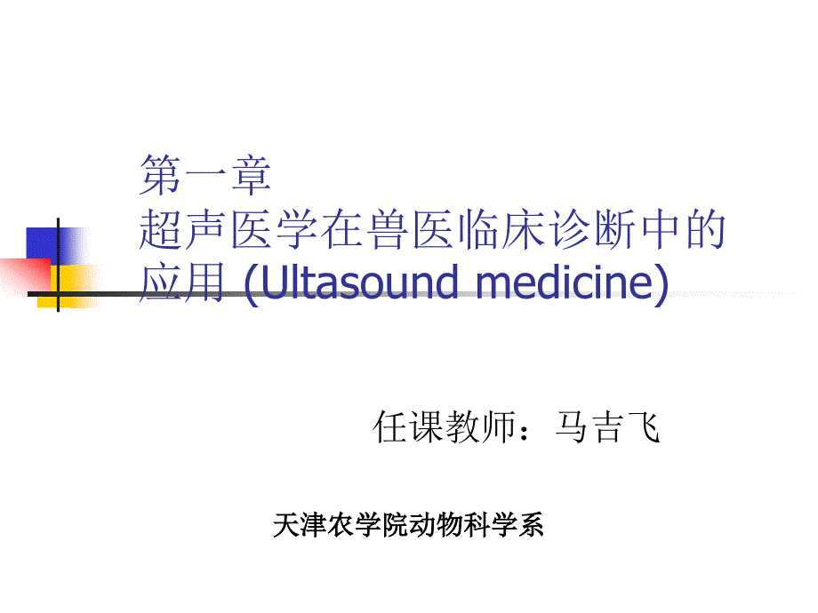 超声医学在兽医临床诊断中的应用_第1页