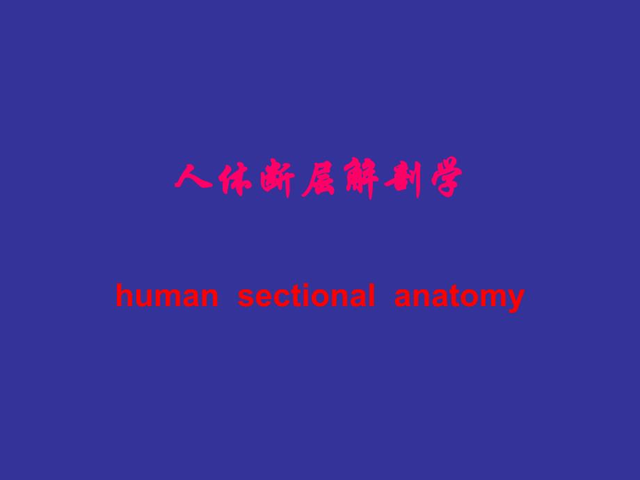 （第七、八次） 头部横断层解剖 - 解剖学教研室_第1页