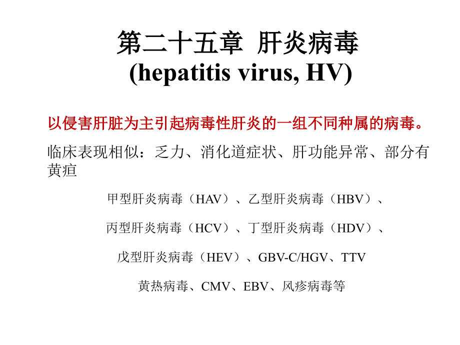 肝炎病毒7_第1页